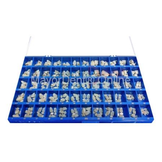 USA Kit de 180 Coronas de Polycarbonato surtidas R&D
