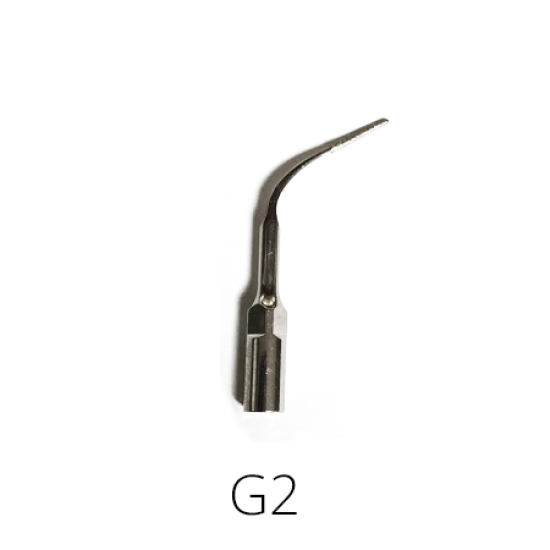 G2 - Punta scaler , Woodpecker