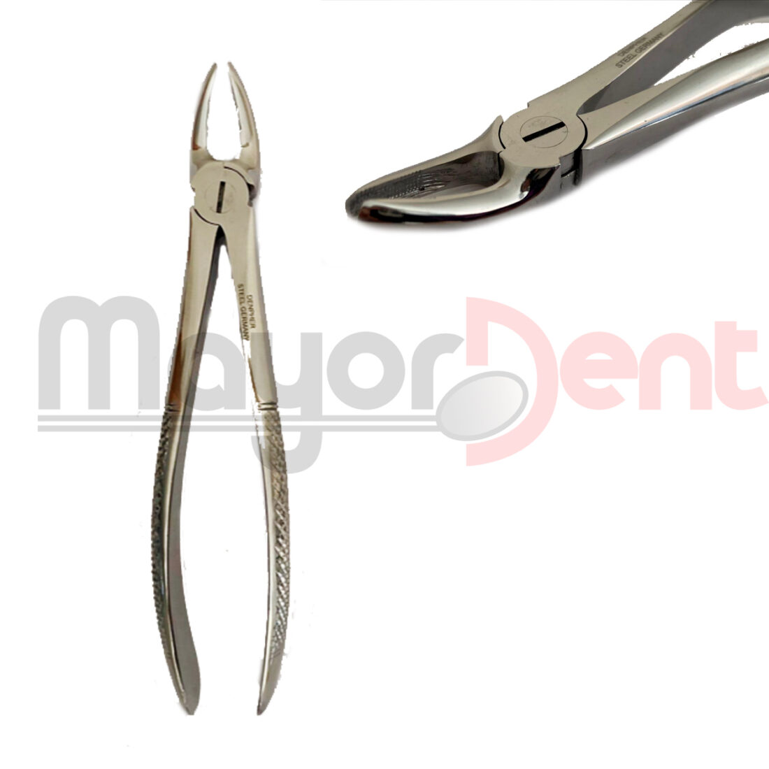 Forceps Inglés Mediano (S/Italica) DENPHER.
