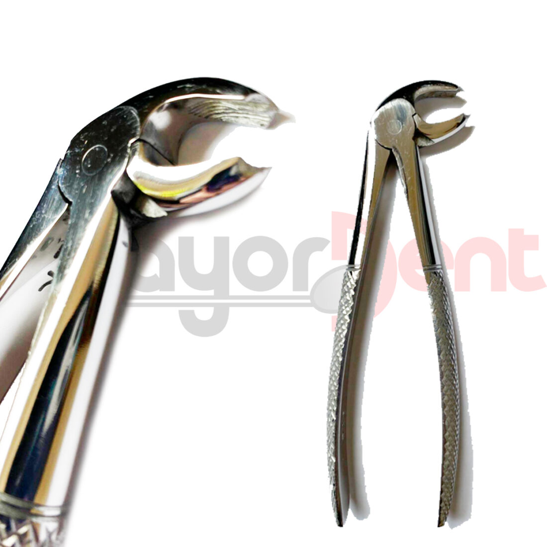 Forceps Pico Loro X- Grueso (Curvo Sobre el Borde) DENPHER.