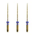 protaper 2
