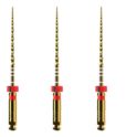 protaper 3